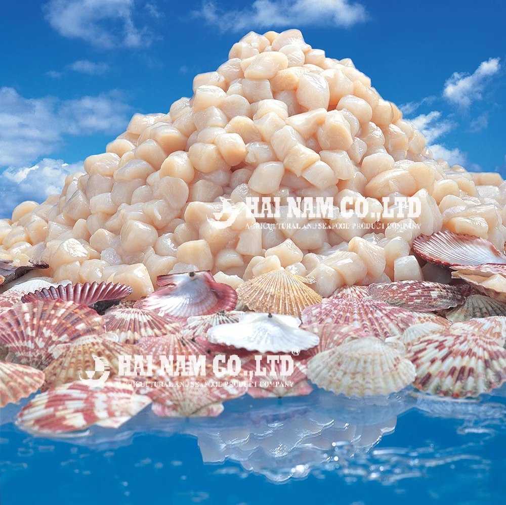 
2 Years Shelf Life Water Preservation Process Frozen Scallop Meat Made In Vietnam 