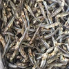 VIETNAM RED BABY PRAWN/ anchovy (CALL: 0084 387264621)