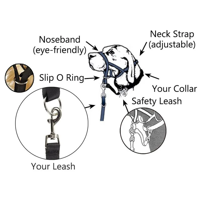 Dog Head Halter With Safety Strap Stops Heavy Pulling On The Leash