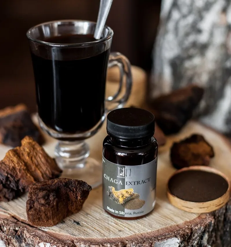 chaga tea. organic chaga mushroom from siberia