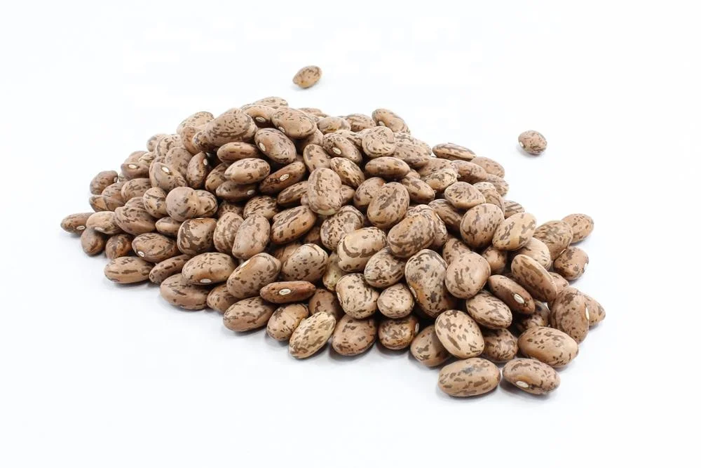 best selling wholesale red speckled kidney beans