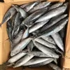 /product-detail/sea-frozen-bonito-tuna-fish-for-sale-62010138050.html