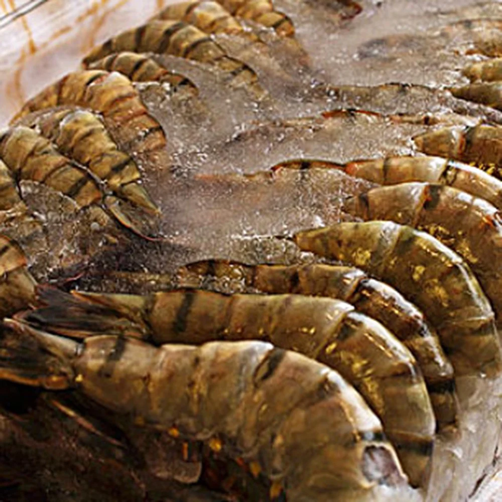 black tiger shrimp for sale