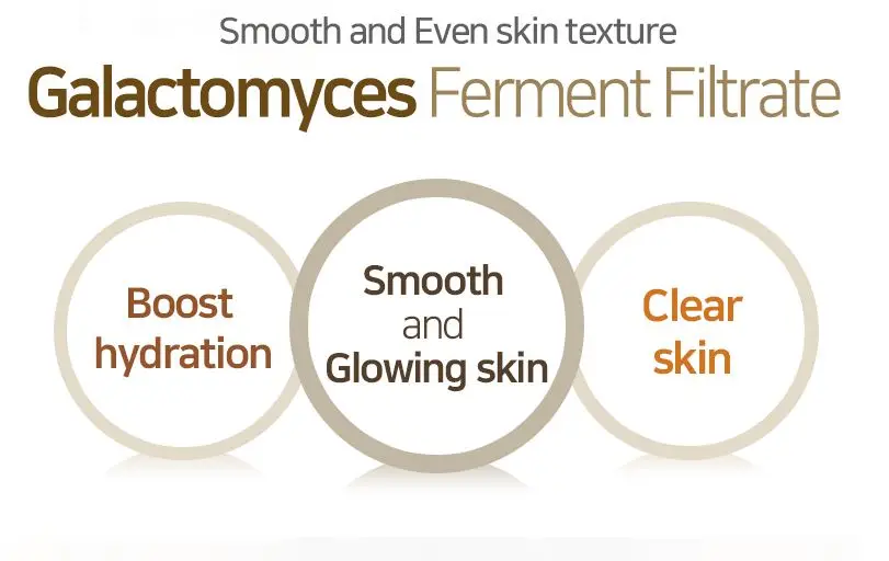 GALACTOMYCES AMPOULE 505.JPG