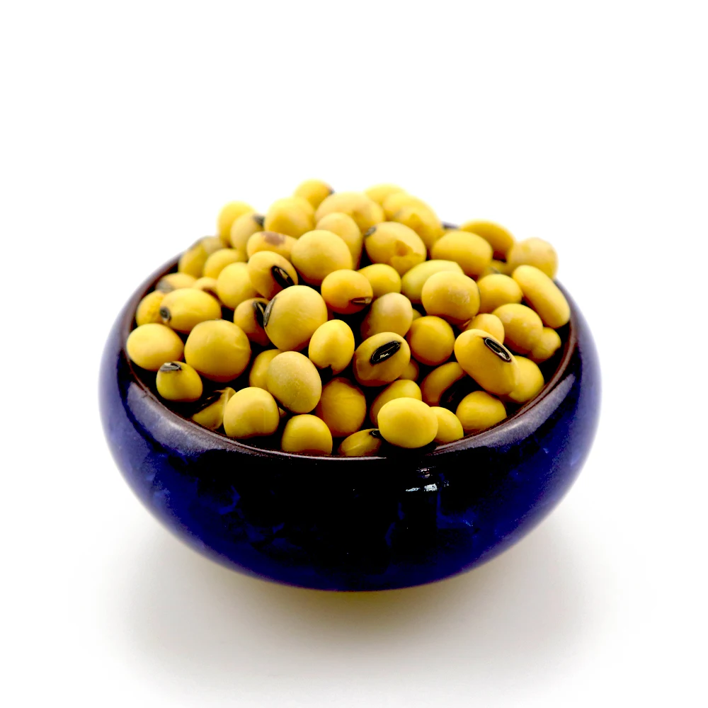 original ukraine soybeans/ cheap price soya beans best selling