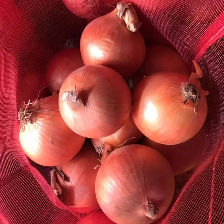 Fresh Red Onions, Fresh Yellow Onions, Fresh White Onions Wholesale