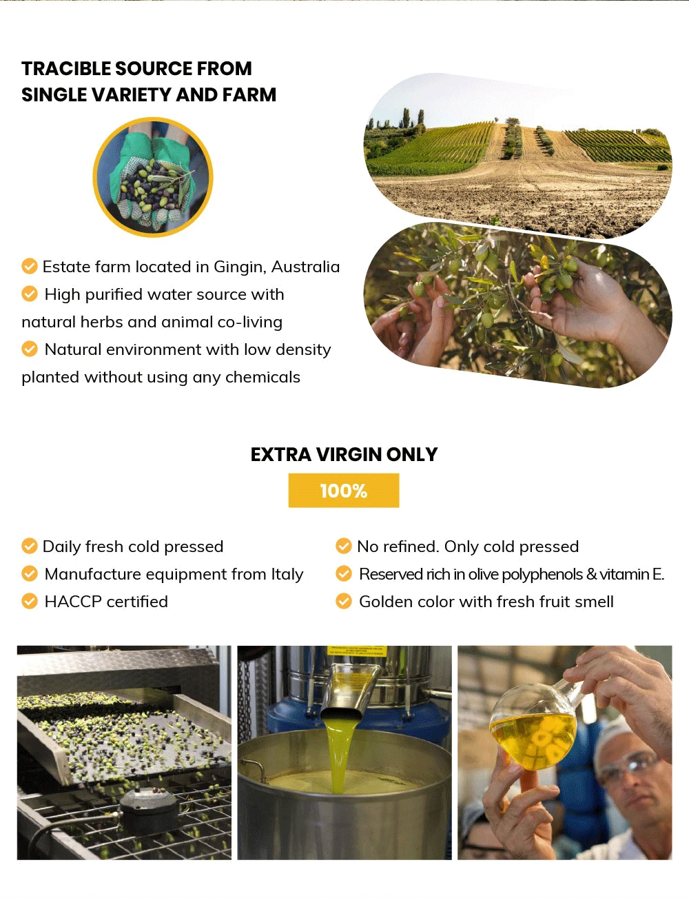Australia extra virgin olive oil