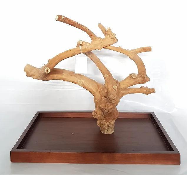 Cheap High Quality Ready Bird Toys For Parrot Raw Wood Fork Tree Branch Stand Rack Branch