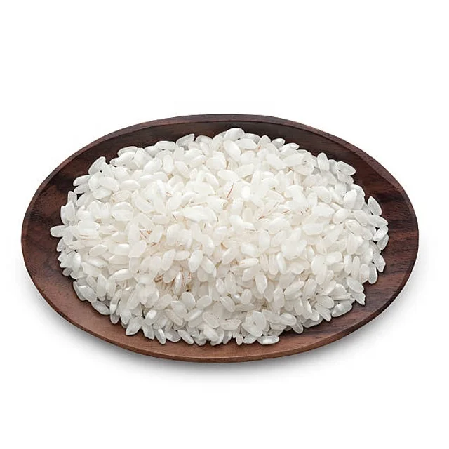 japonica rice