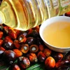 /product-detail/rbd-palm-olein-cp8-cp10-vegetable-cooking-oil-62011791980.html