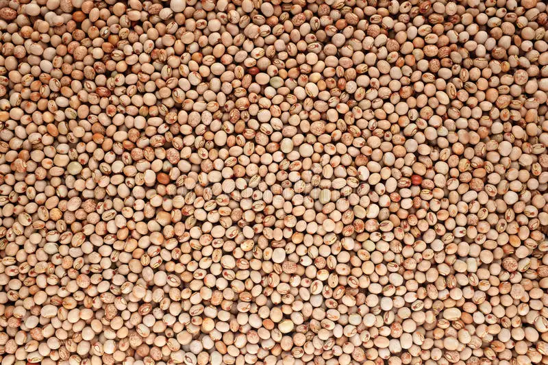 pigeon peas2.jpg