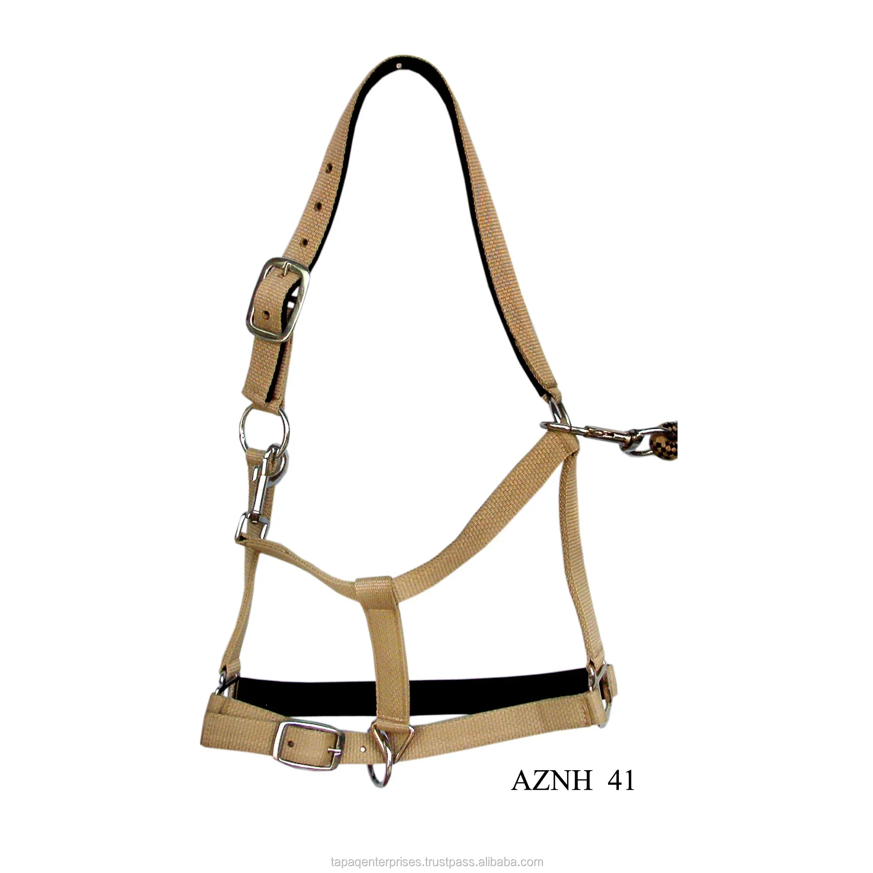 AZNH 41.jpg