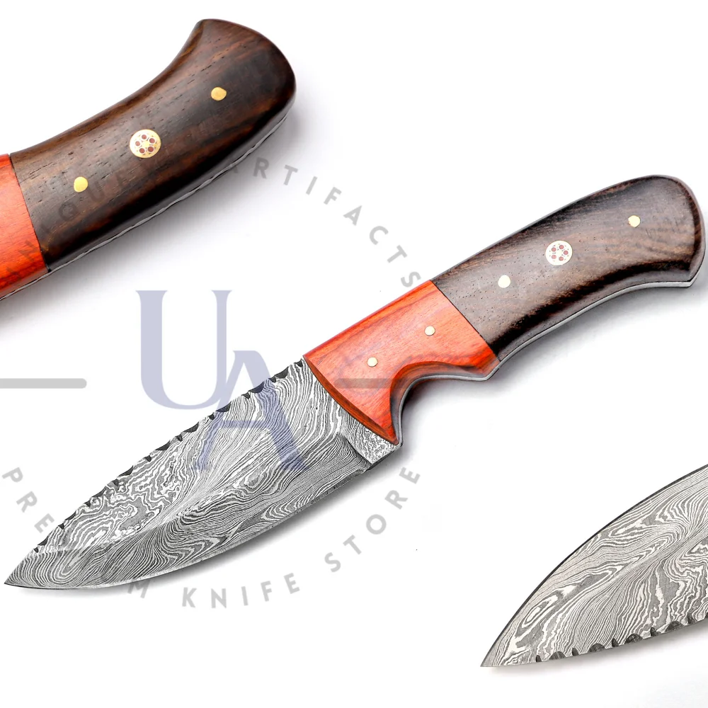 Mini Damascus Steel Outdoor Knife With Pakka Wood Handle Best Mini