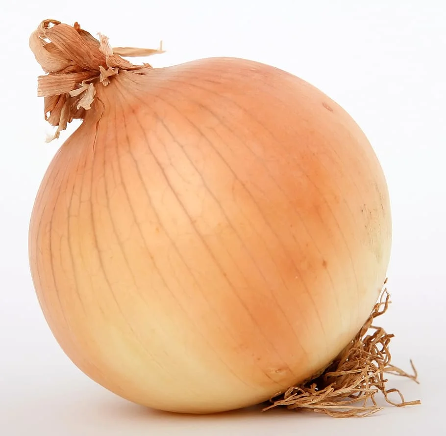 aromatic and round onions at great price