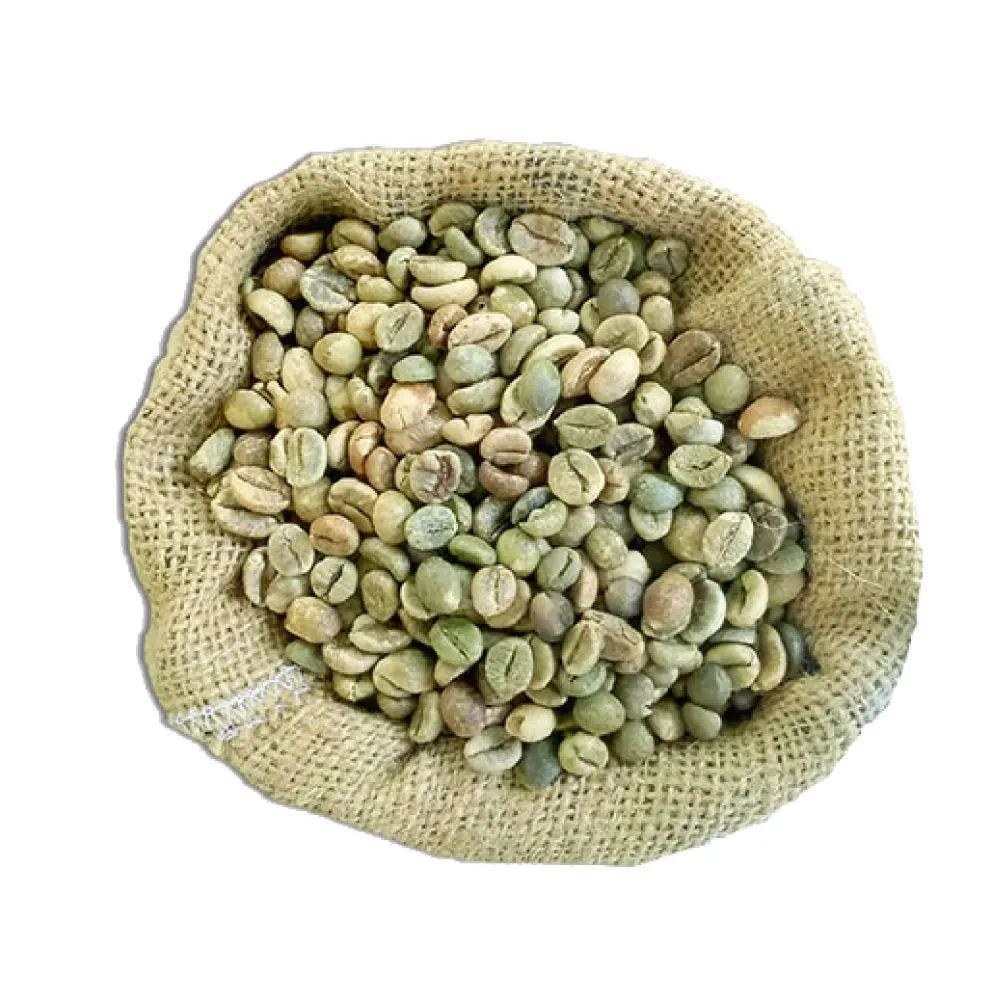 Robusta-WP-S18-01.jpg