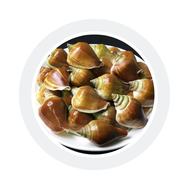 
Best Selling Fresh Clean Live Sungsuwan Medium Size Wing Shells Thailand Seafood 