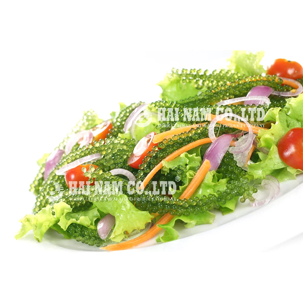 
High Quality A Grade Characteristics Taste Fresh Salted Style Grape Seaweed Made In Vietnam 