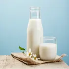 High Quality camel milk/dried powdered camel milk