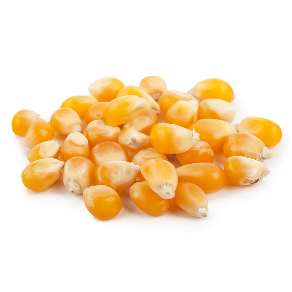 
Russian wholesale corn, agriculture product 