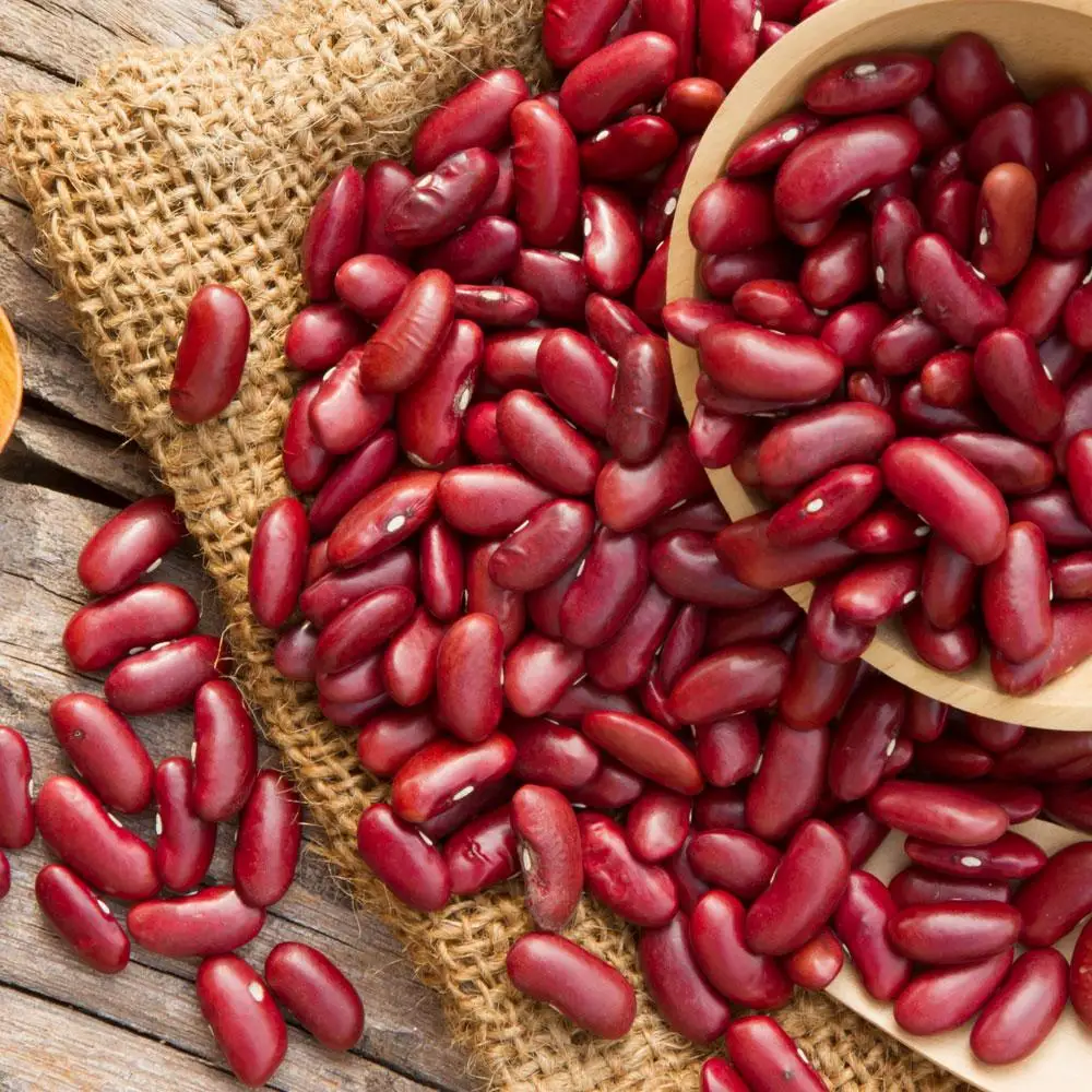 Kenya Cheap Red Kidney Beans At Low Price - Buy Red Kidney Beans ...