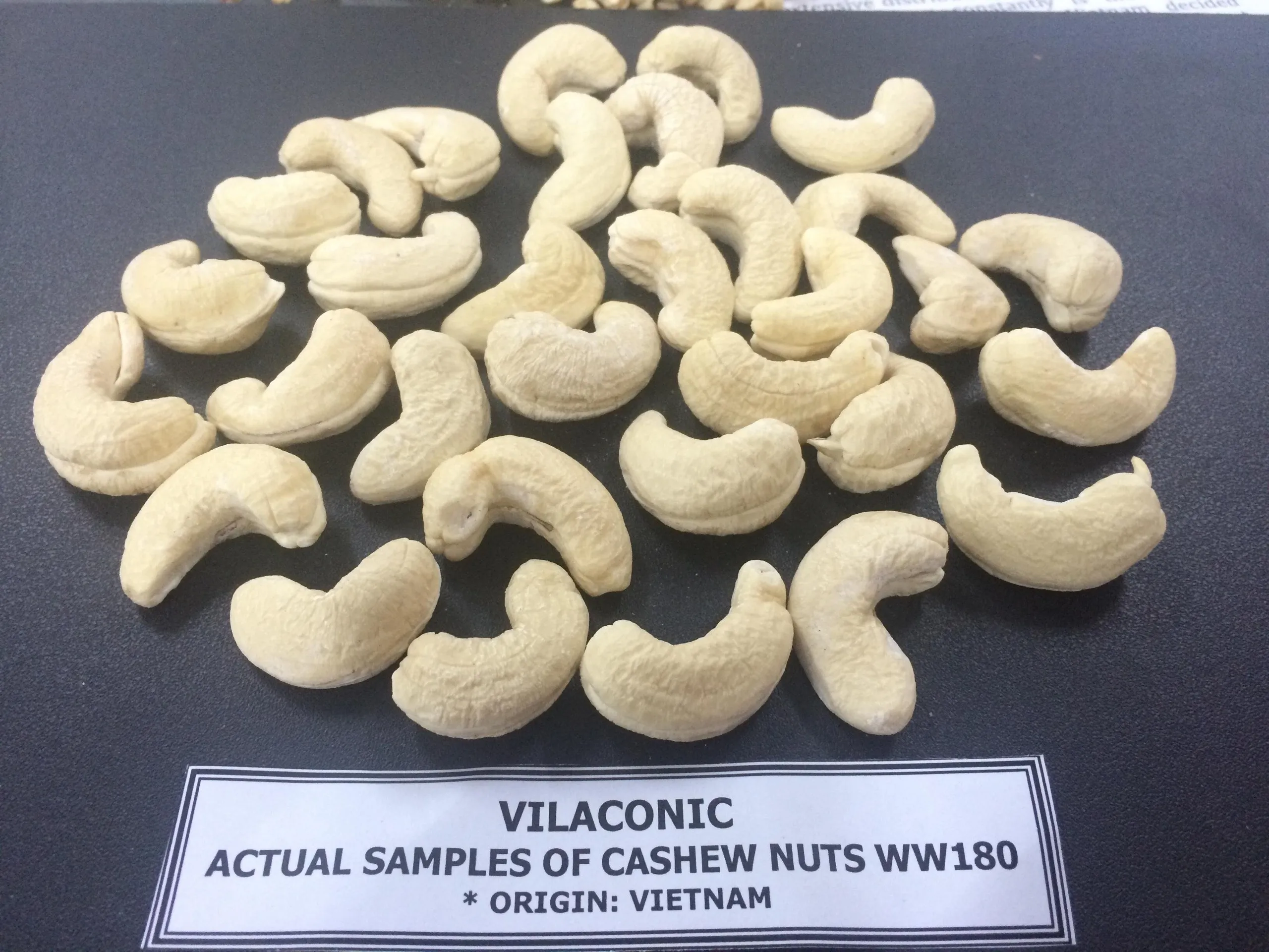 W320 W240 W450 Vietnam White Whole Cashew Nut,Cashew Nut Kernels For ...