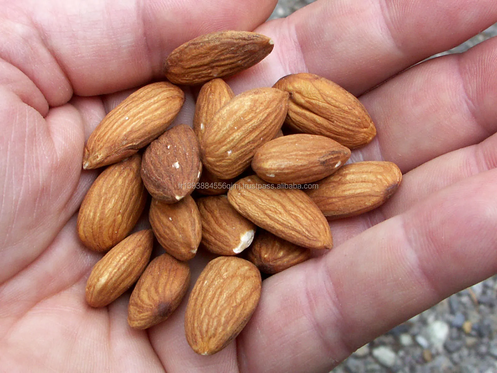 almond p.jpg