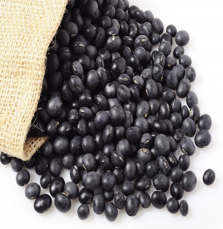 high standard quality black kidney beans whole sale
