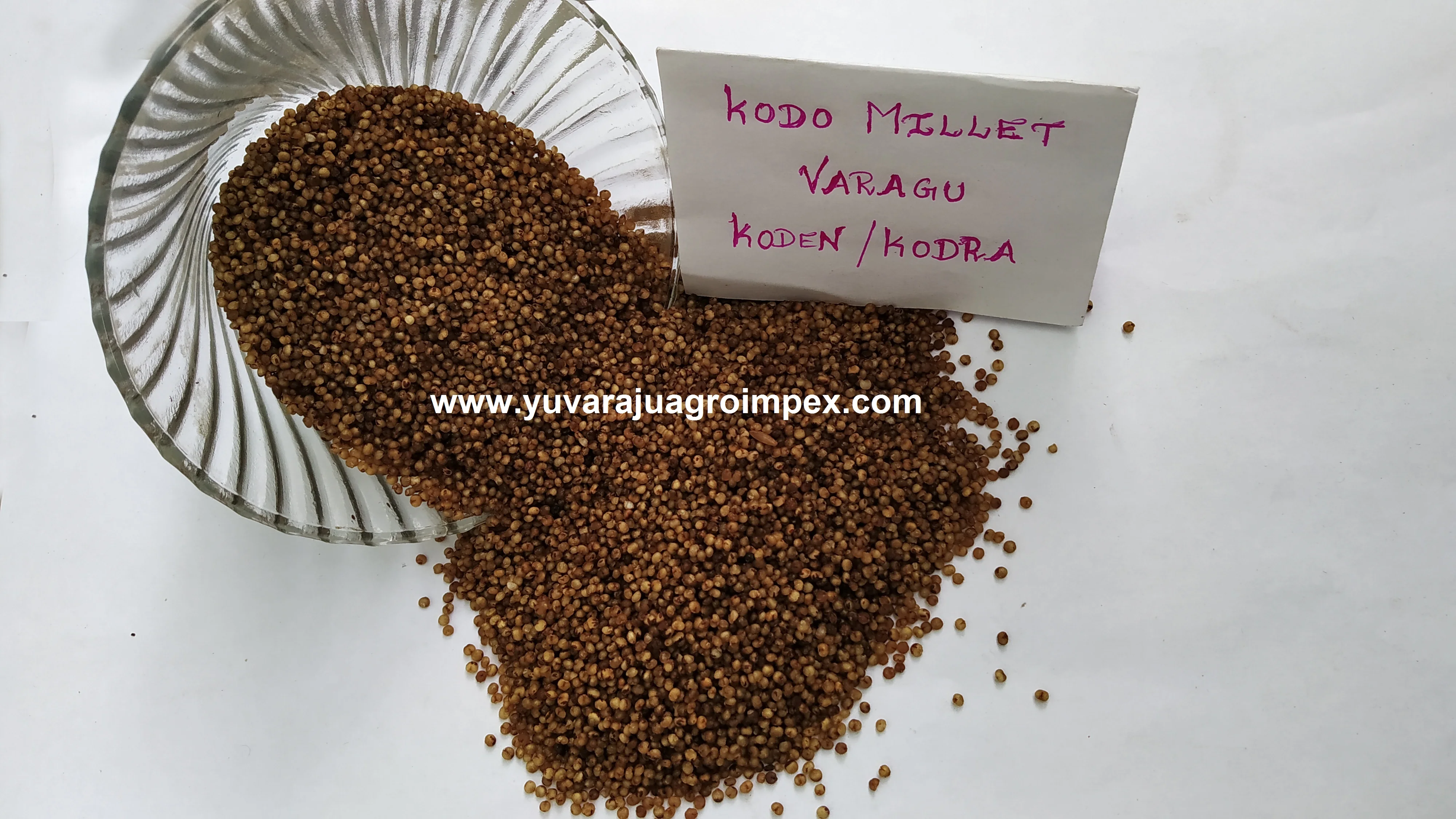 Natural Kodo Millet/ Millet Grain Buy Millet Seed Extract,Brown