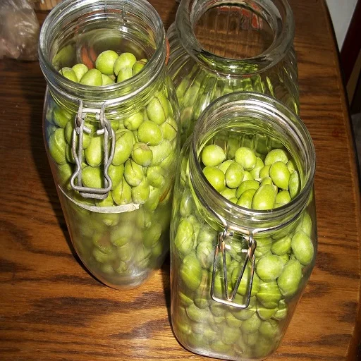 
fresh Egyptian olives 