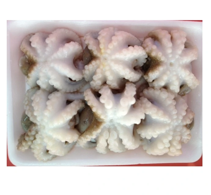 
Frozen Whole Cleaned Baby Octopus 
