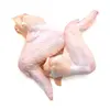 Halal Chicken Wings for sale in Bulk