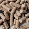 Indian Animal Feed Corn