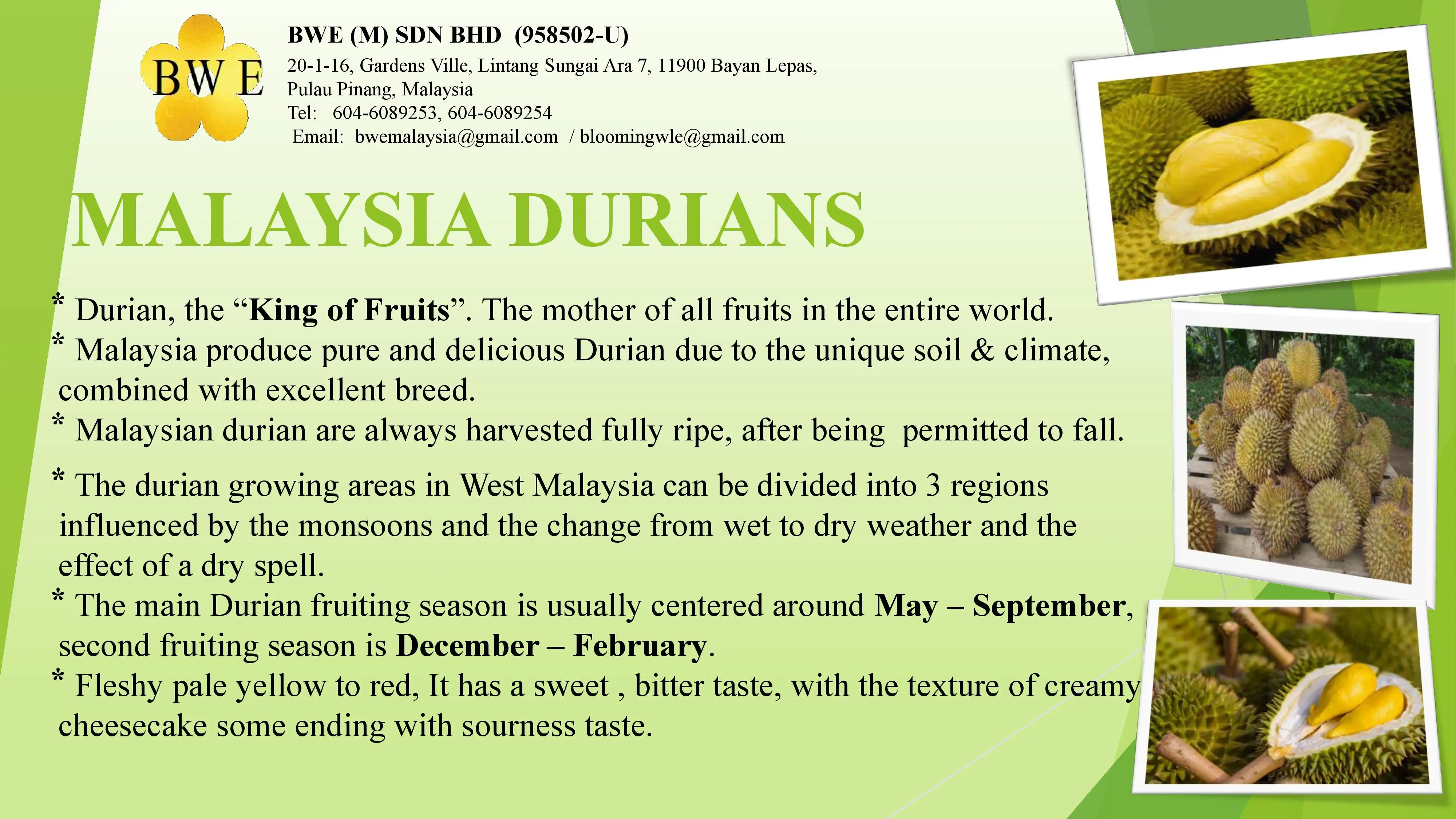 Durian001.jpg