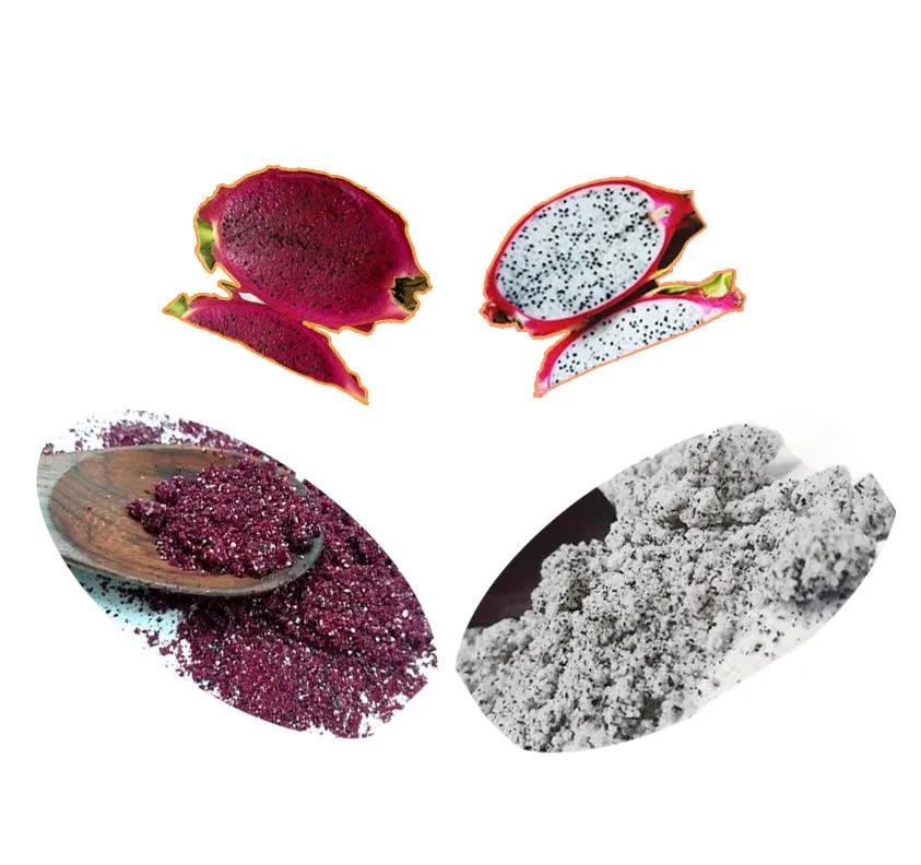 100 Pure Fresh Natural Dragon Fruit Powder Dragon Fruit Extracts High Quality Powder 99 Gold