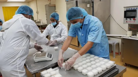 mochi factory 5.png