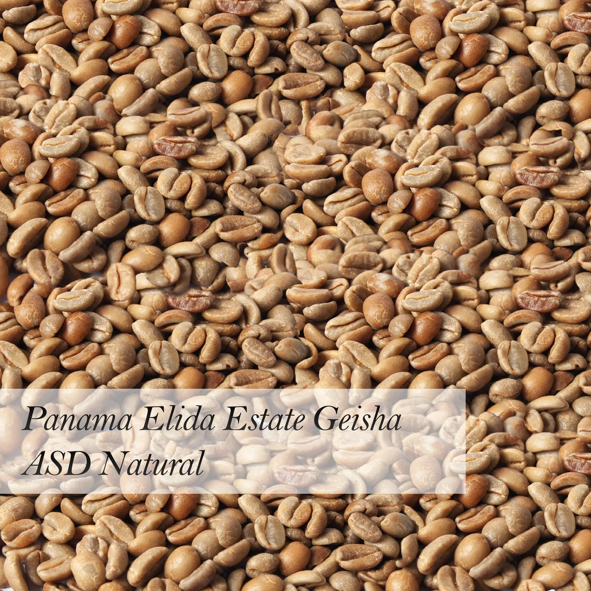 Panama Elida Estate Geisha Asd Natural Premium High Quality Green