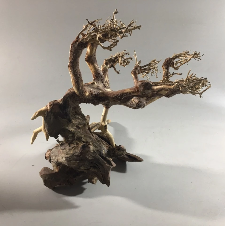 ������ ������ �� ������ ���� ����������