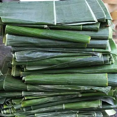 banana leaff.jpg