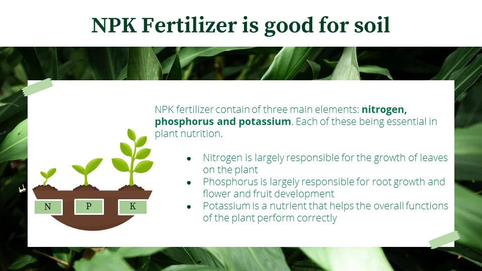 High Quality Organic Npk Controlled Release Fertilizers With Nitrogenphosphorus And Potassium