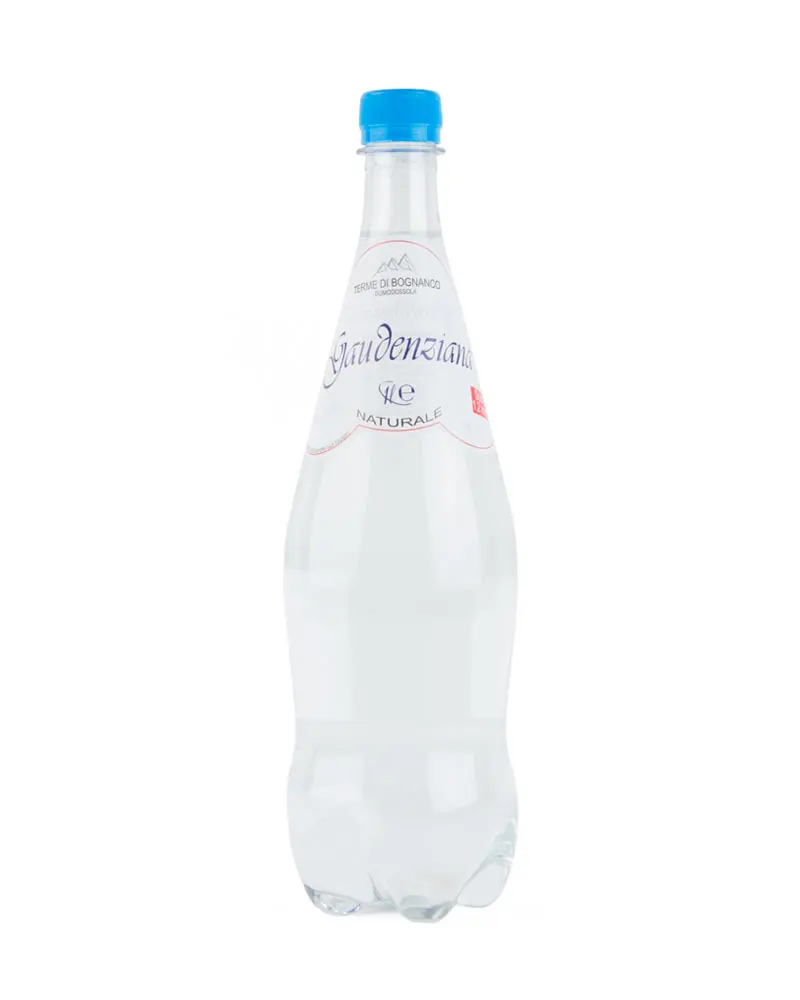 gaudenziana 1 L.jpg
