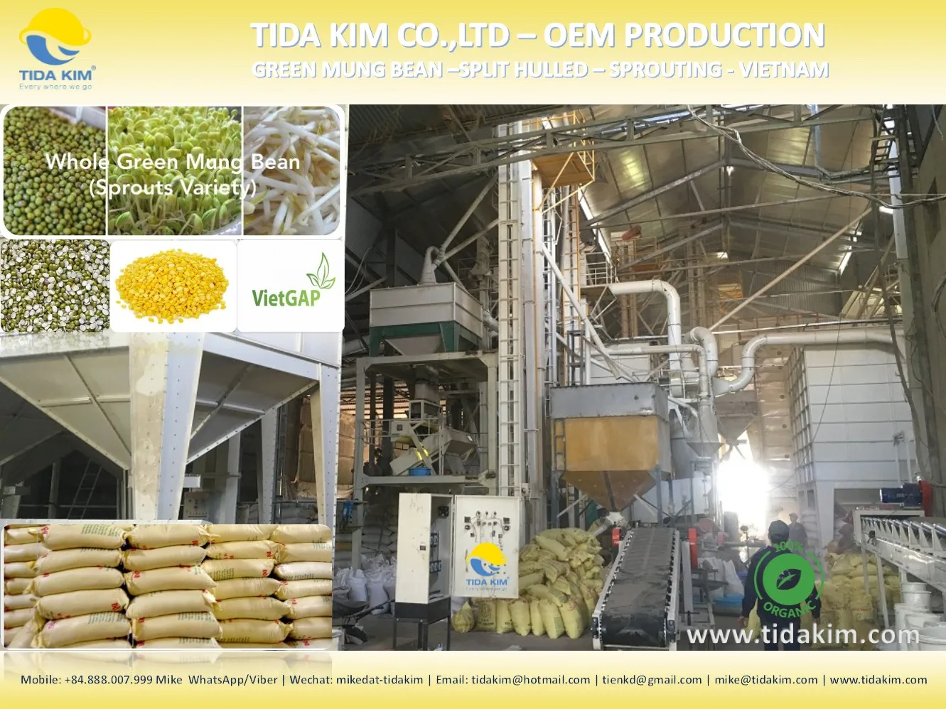 Green Mung Bean Tida Kim Sprouts Bulk Mung Beans factory Mung Bean