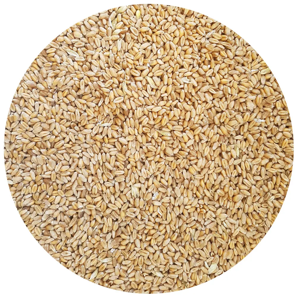 
Food Grade Milling Wheat 