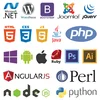 wordpress theme development services