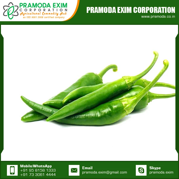chilli - buy green chilli manufacturer best price of green chili
