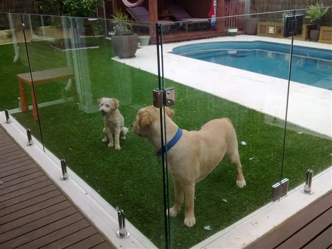 Stainless Steel Heavy Duty Self Closing Spring Hinge For Glass Gate