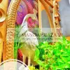 Peacock Theme Fiber Decoration Items, Entrance Peacock Statue and Small Walk way Pillar