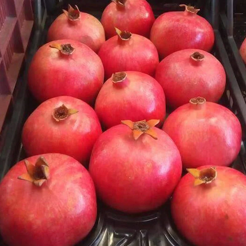 
CHEAP FRESH POMEGRANATES 