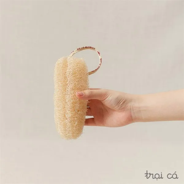 Natural Loofah/ Natural Hotel Disposable Loofah From Viietnam Buy