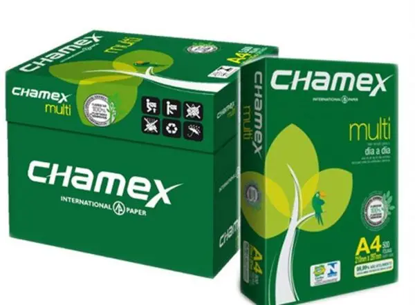 Chamex 9.jpg