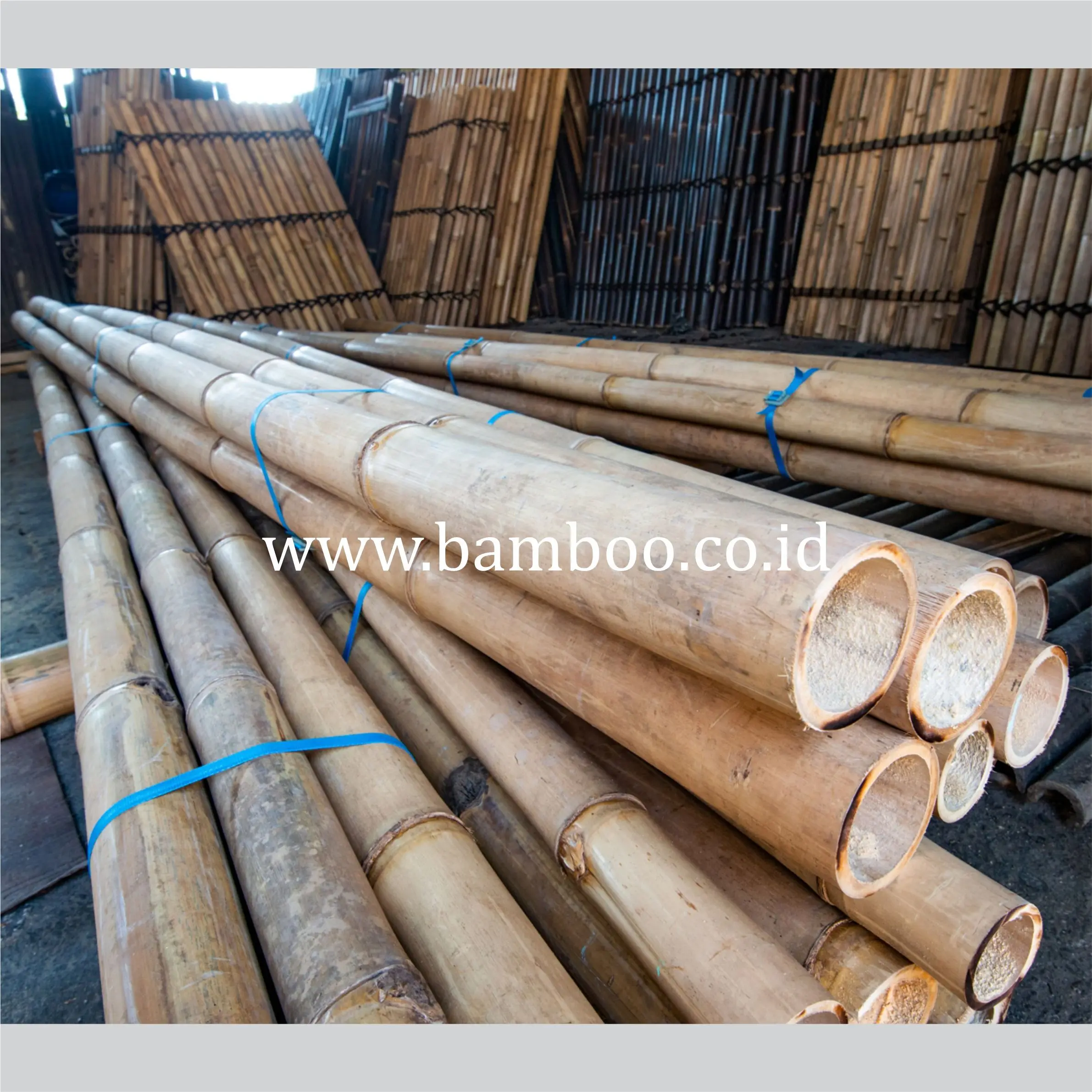 Bamboo Factory And Natural Bamboo Poles,Bamboo Raw Materials,Bamboo